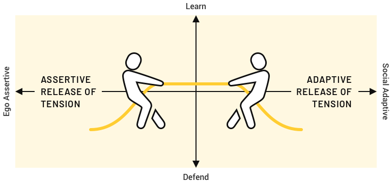 Feature Stripe Graphic